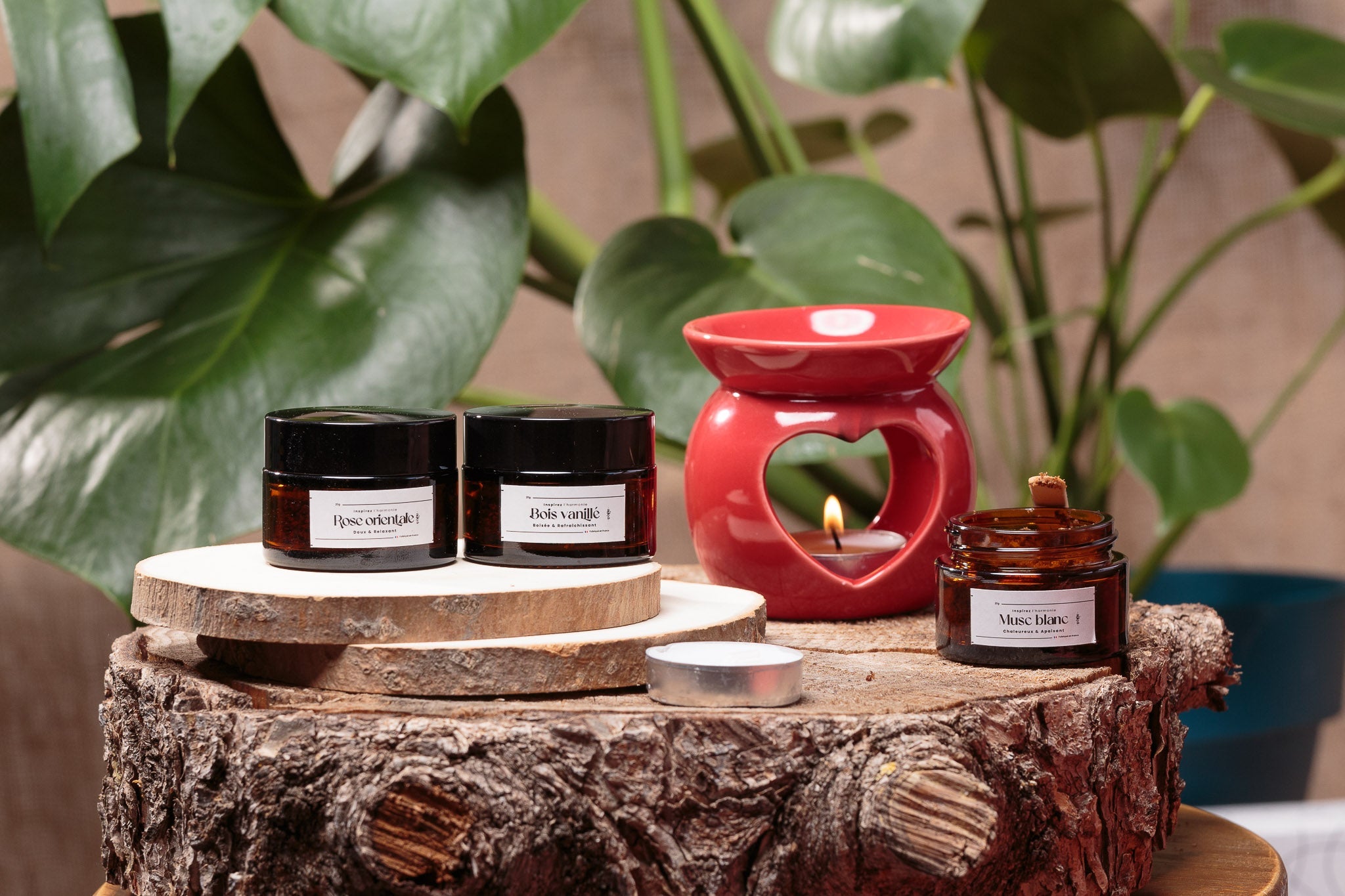 Comment choisir un parfum d'intérieur qui dure longtemps ? 5 astuces pour le faire tenir