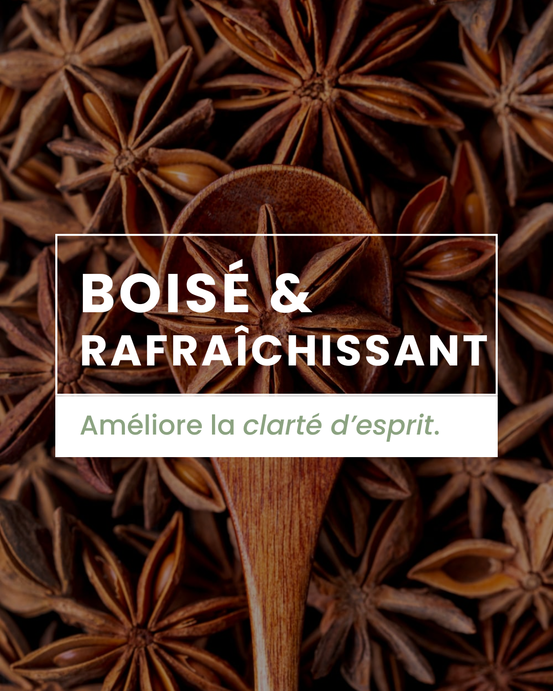 Parfum d'ambiance - Bois vanillé