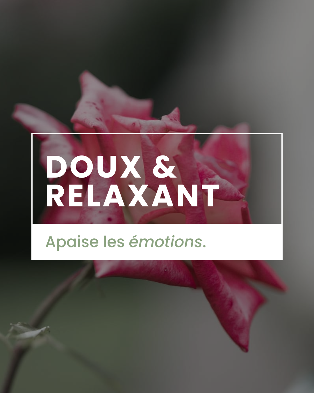 Parfum d'ambiance - Rose orientale