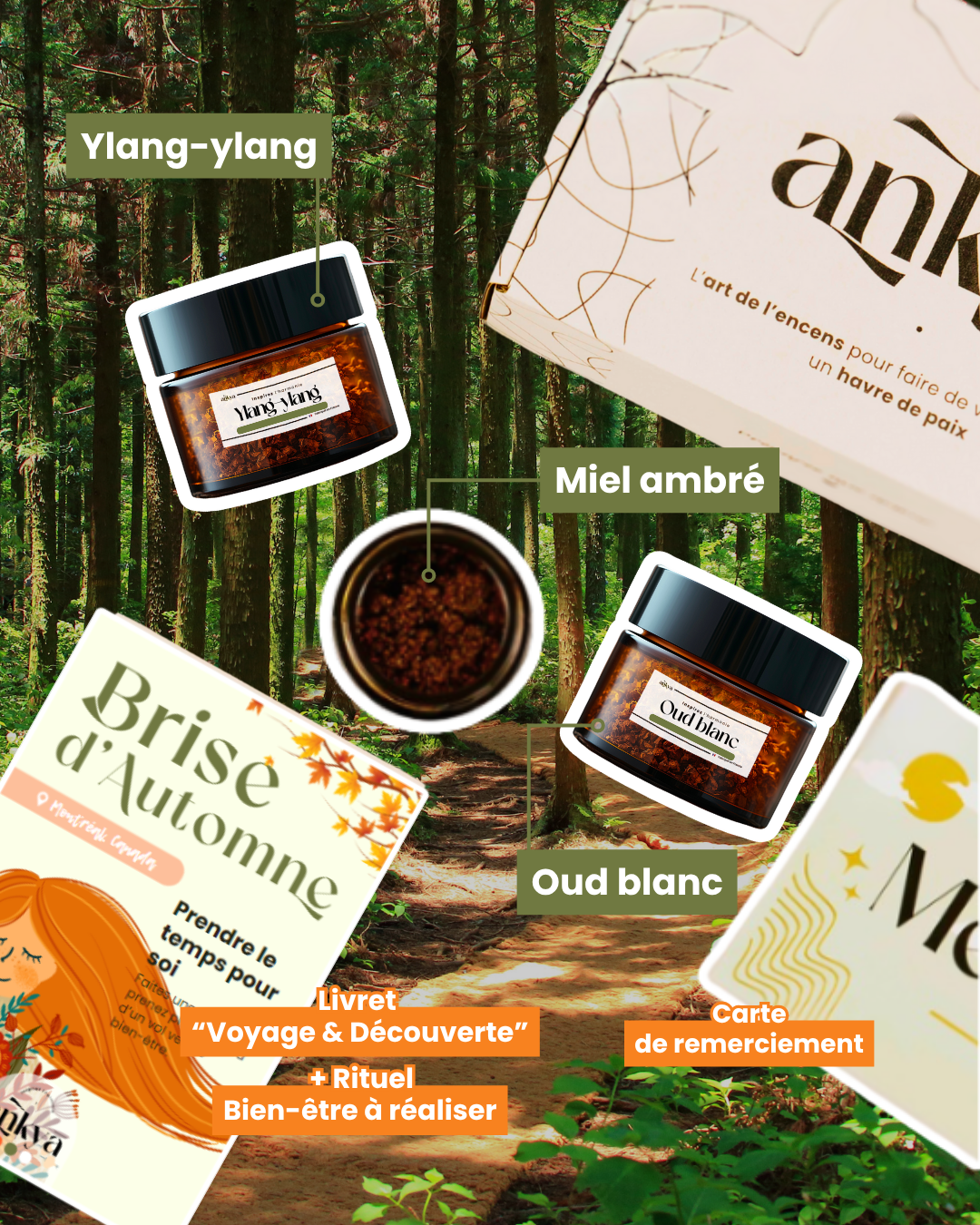Coffret Collection - Rituel Eclat végétal