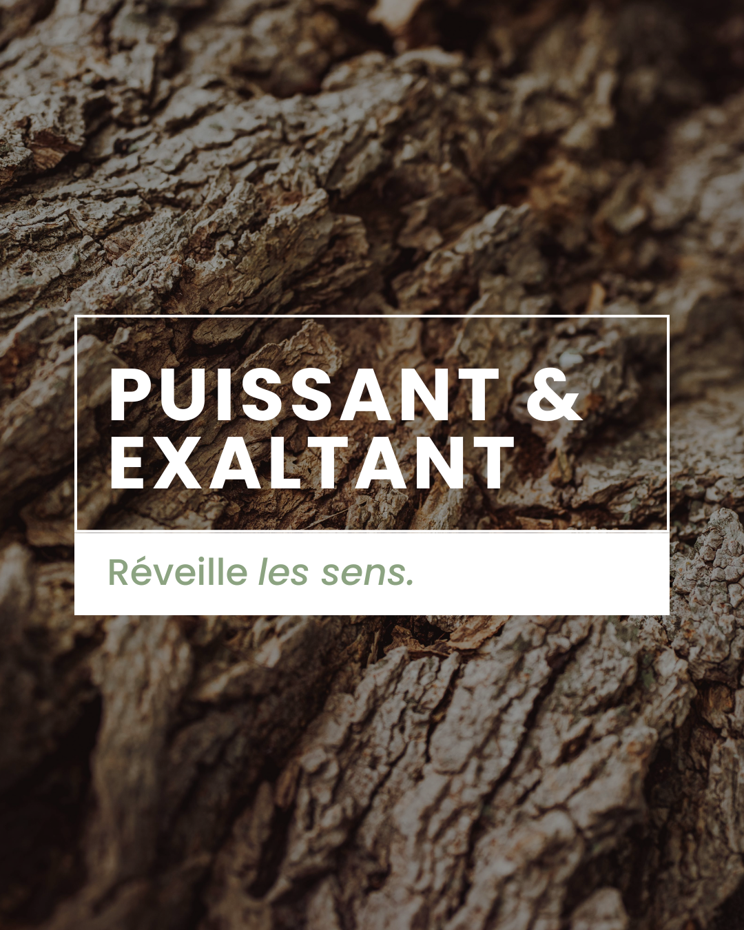 Parfum d'ambiance - Ambre boisé