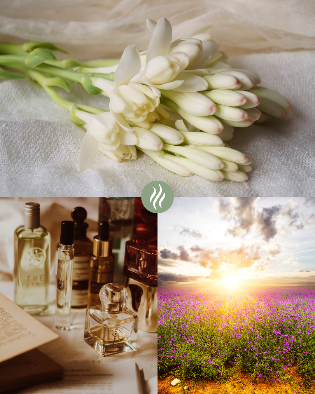 Parfum d'ambiance - Tubéreuse