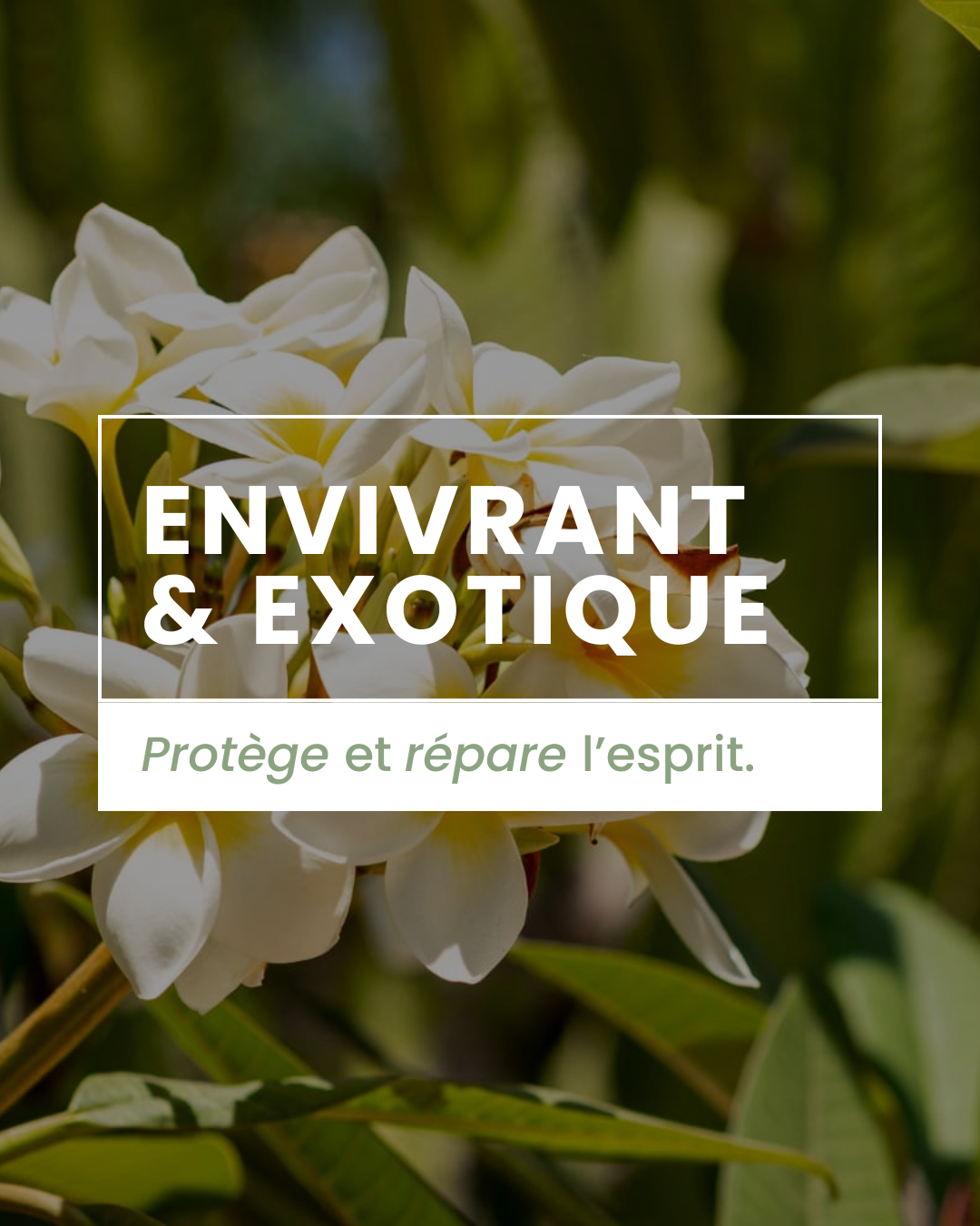 Parfum d'ambiance - Monoï