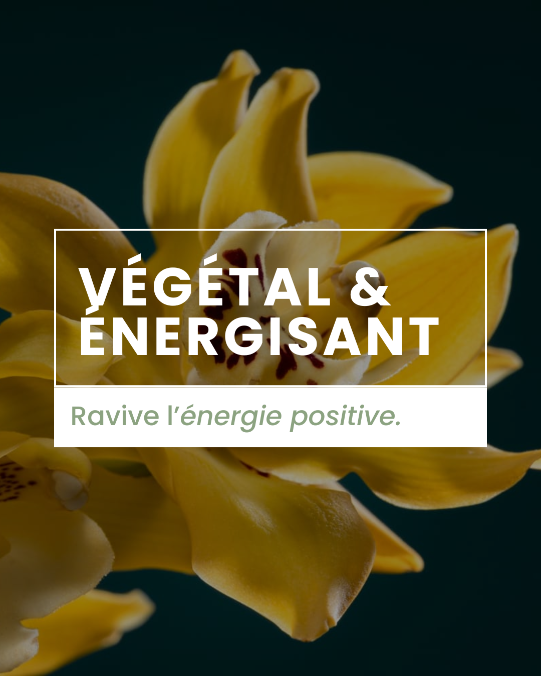 Parfum d'ambiance - Ylang-ylang