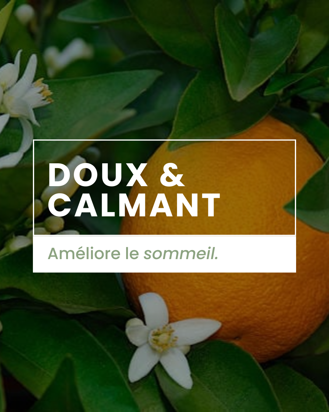 Parfum d'ambiance - Fleur d'oranger